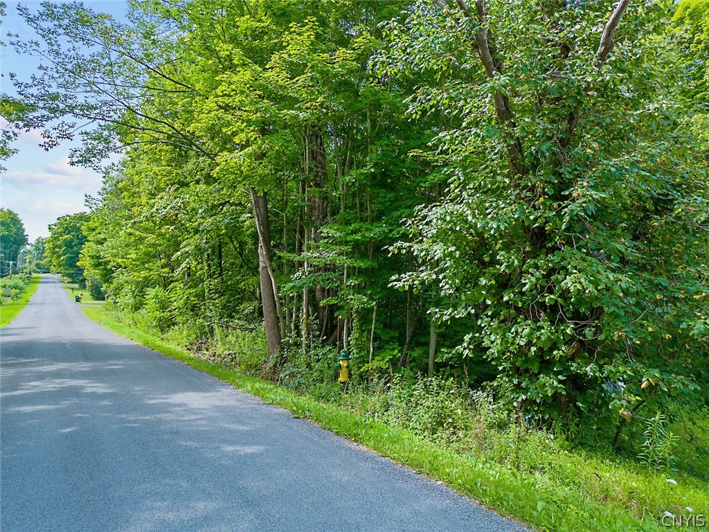 0 Perfield Road Hastings, NY 13076 - Photo 3 of 15