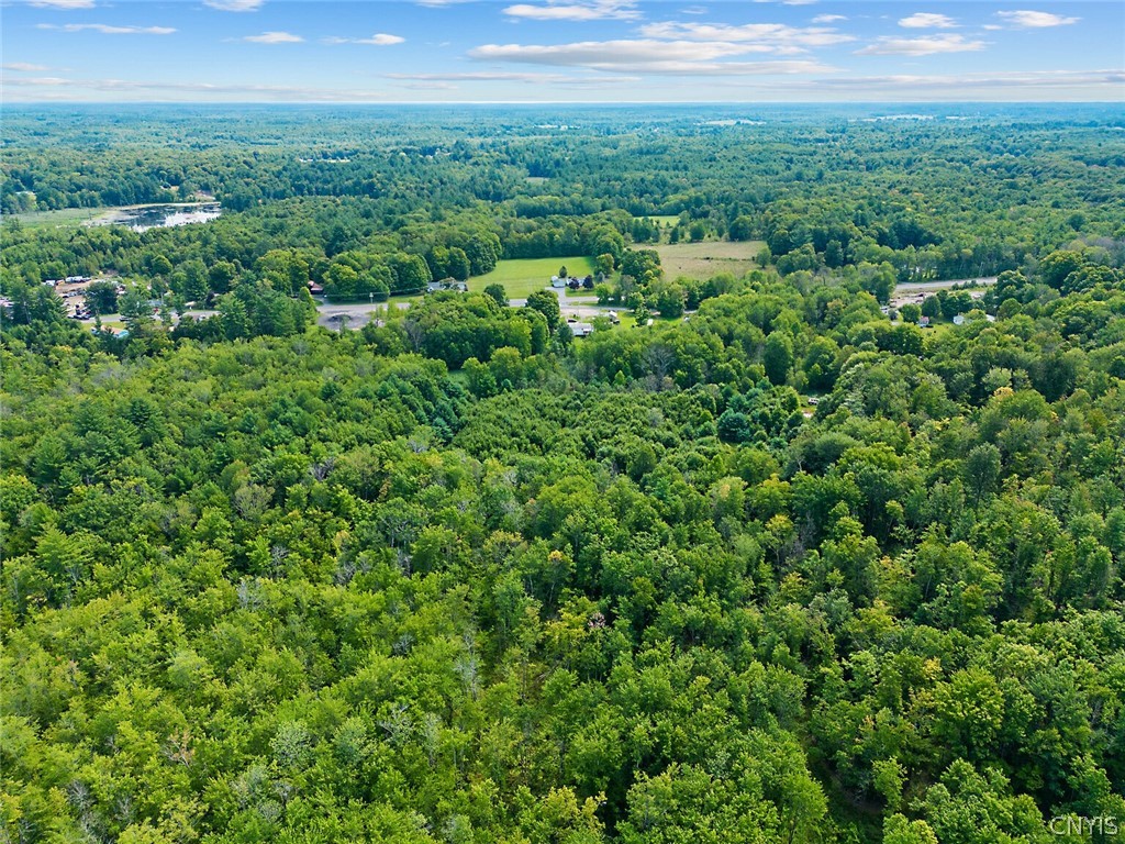 0 Perfield Road Hastings, NY 13076 - Photo 6 of 15