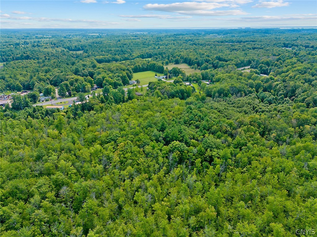 0 Perfield Road Hastings, NY 13076 - Photo 7 of 15