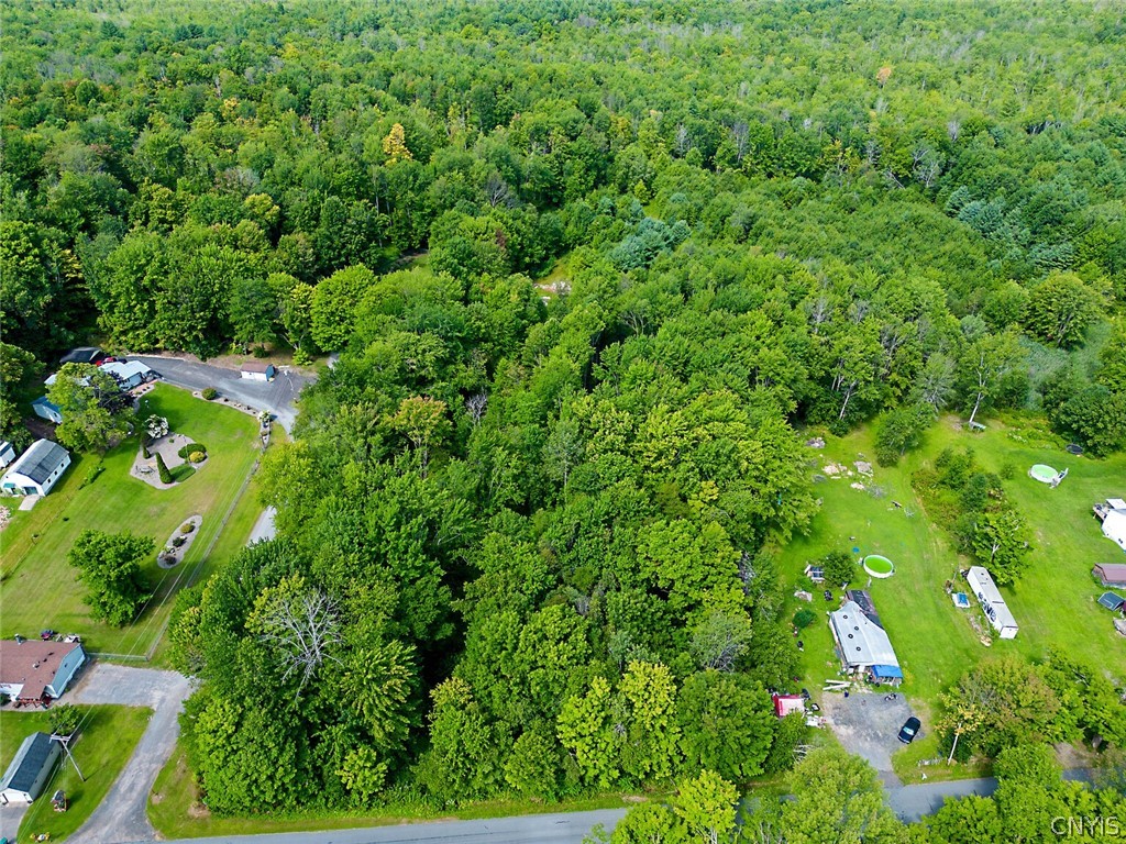 0 Perfield Road Hastings, NY 13076 - Photo 9 of 15