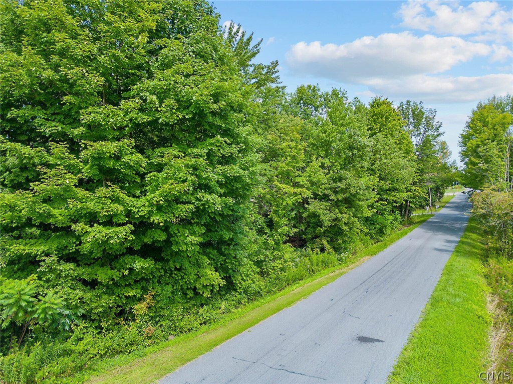 0 Perfield Road Hastings, NY 13076 - Photo 10 of 15