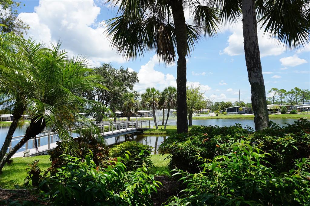 145 Rarotonga Road North Port, FL 34287 - Photo 53 of 64 a view of a yard with a palm tree