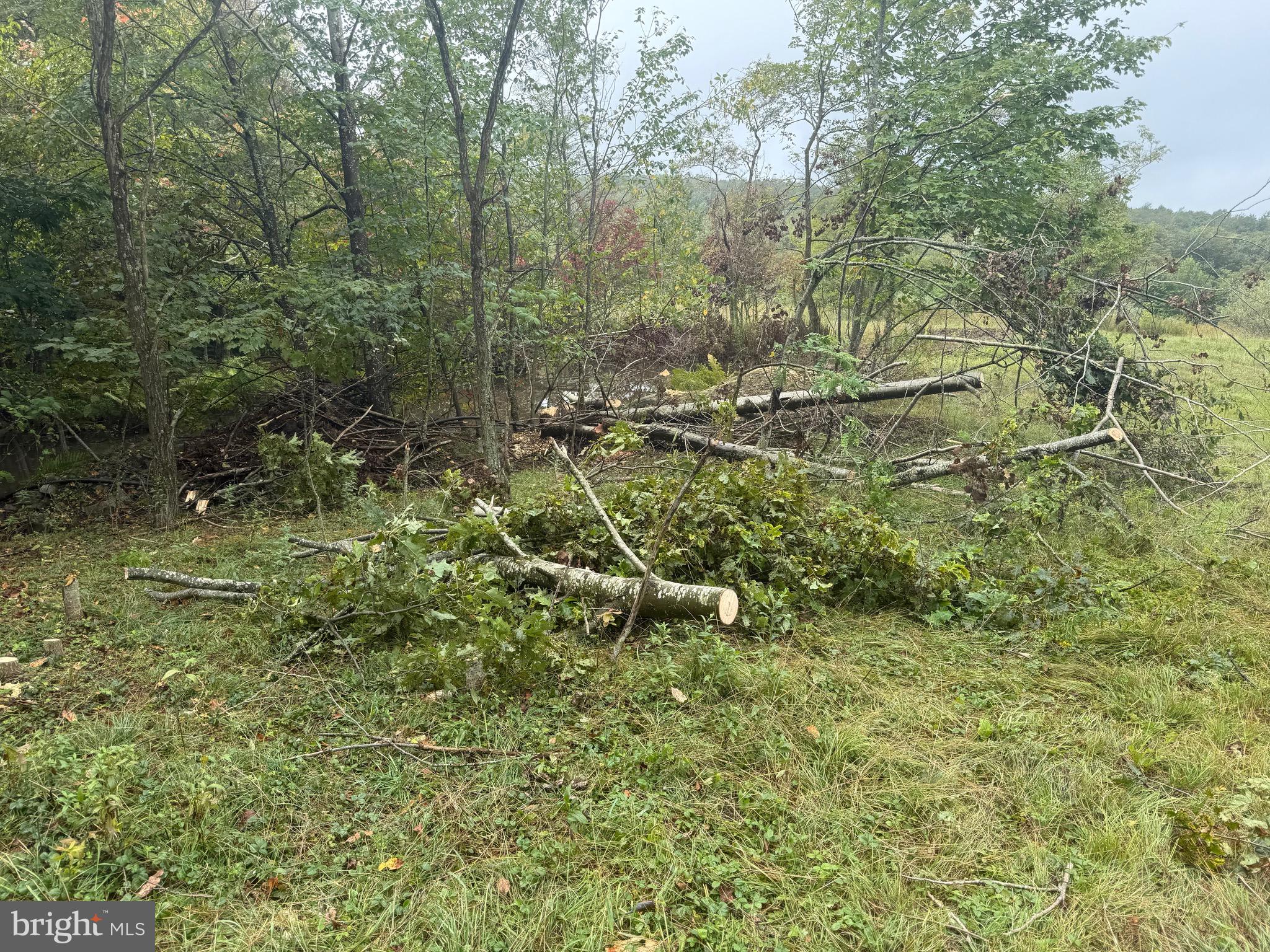 0 Pinnacle Road Keyser, WV 26726 - Photo 37 of 61