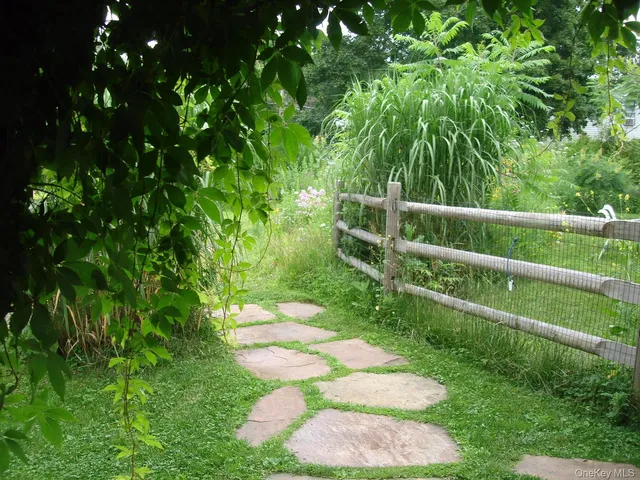 a view of a yard with plants
