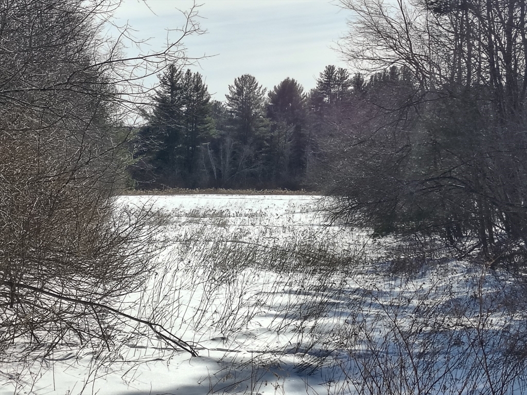 0 Capen/ Clark Road Worthington, MA 01098 - Photo 3 of 9