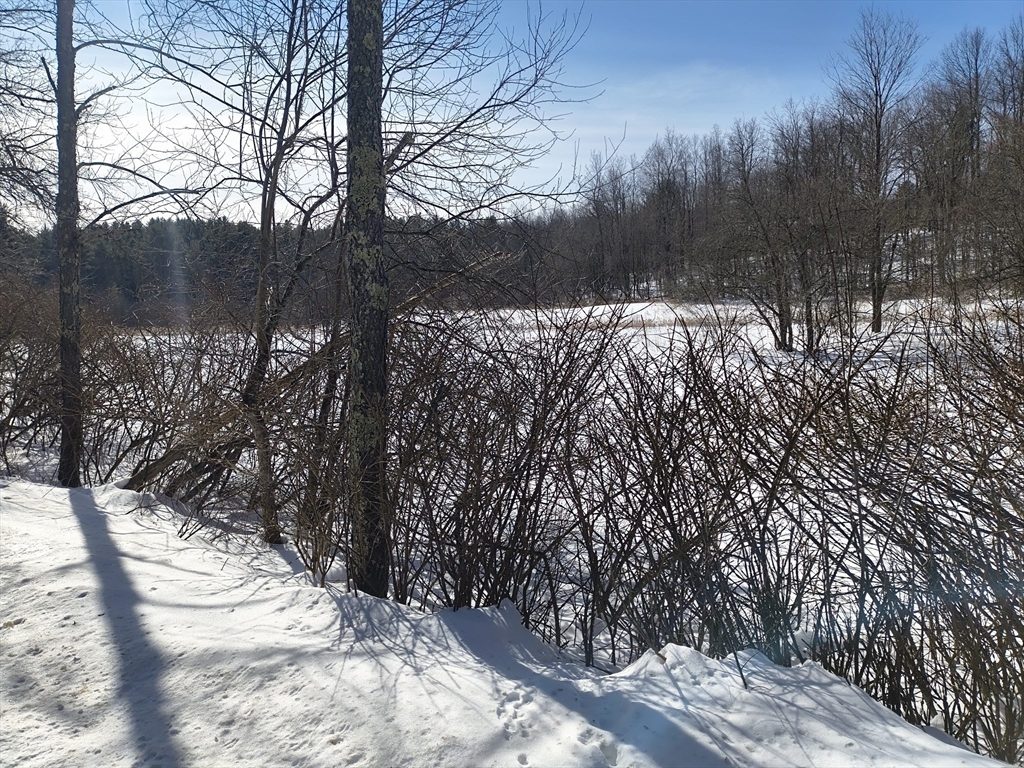 0 Capen/ Clark Road Worthington, MA 01098 - Photo 4 of 9