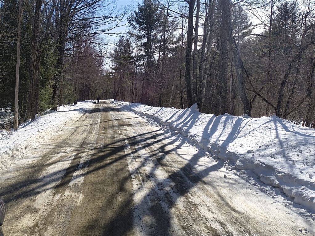 0 Capen/ Clark Road Worthington, MA 01098 - Photo 5 of 9