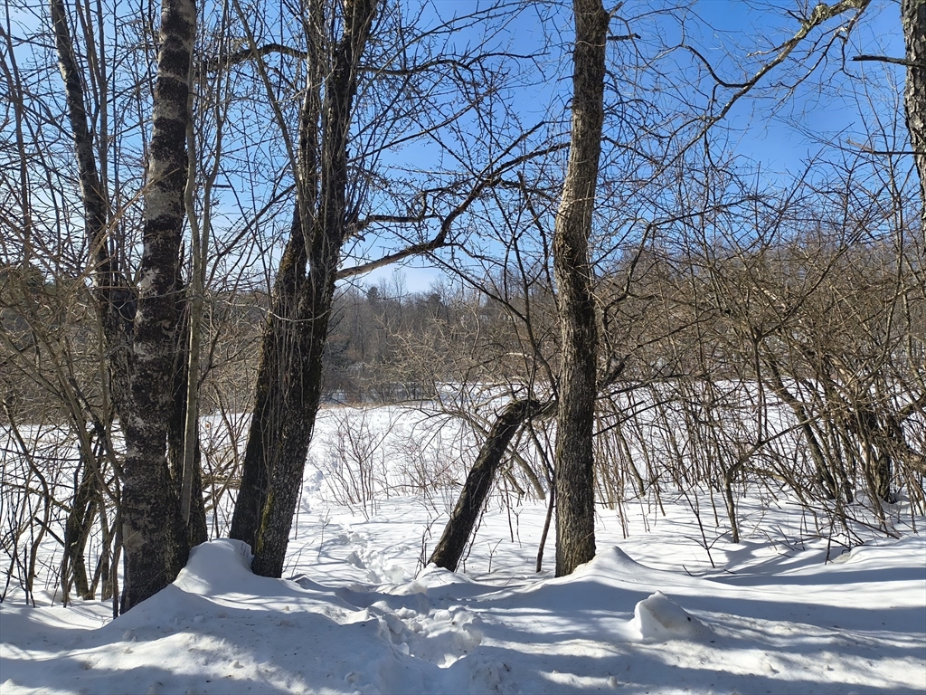 0 Capen/ Clark Road Worthington, MA 01098 - Photo 6 of 9