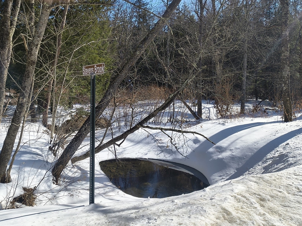 0 Capen/ Clark Road Worthington, MA 01098 - Photo 9 of 9