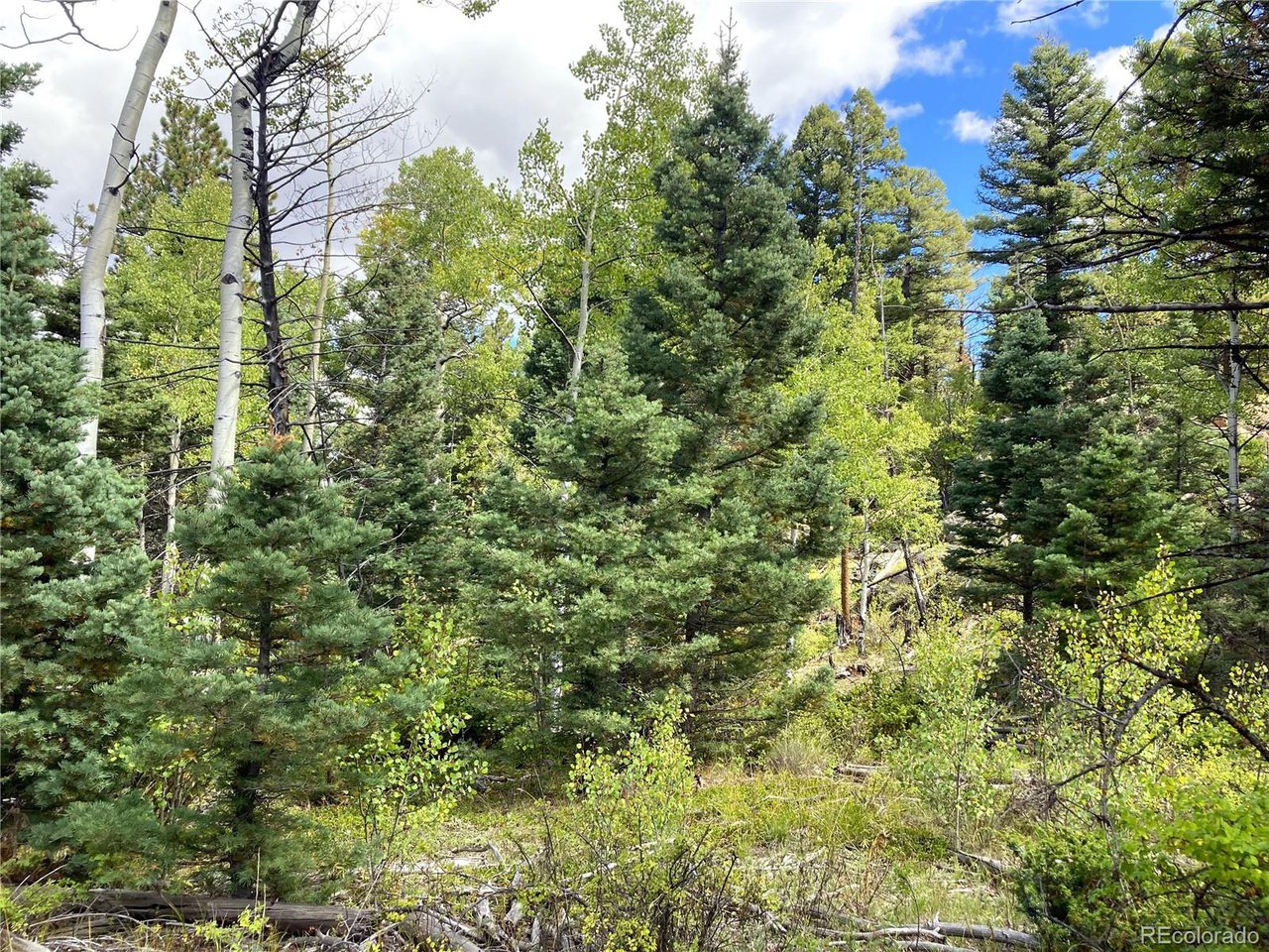 27 Copper Mtn Road Cotopaxi, CO 81223 - Photo 17 of 24 a view of a lush green forest