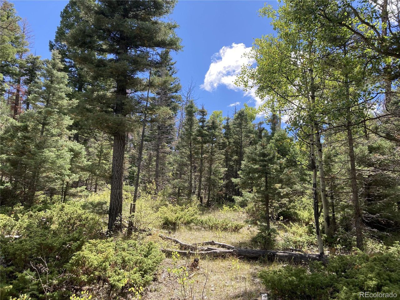 27 Copper Mtn Road Cotopaxi, CO 81223 - Photo 18 of 24 a view of a yard with a tree