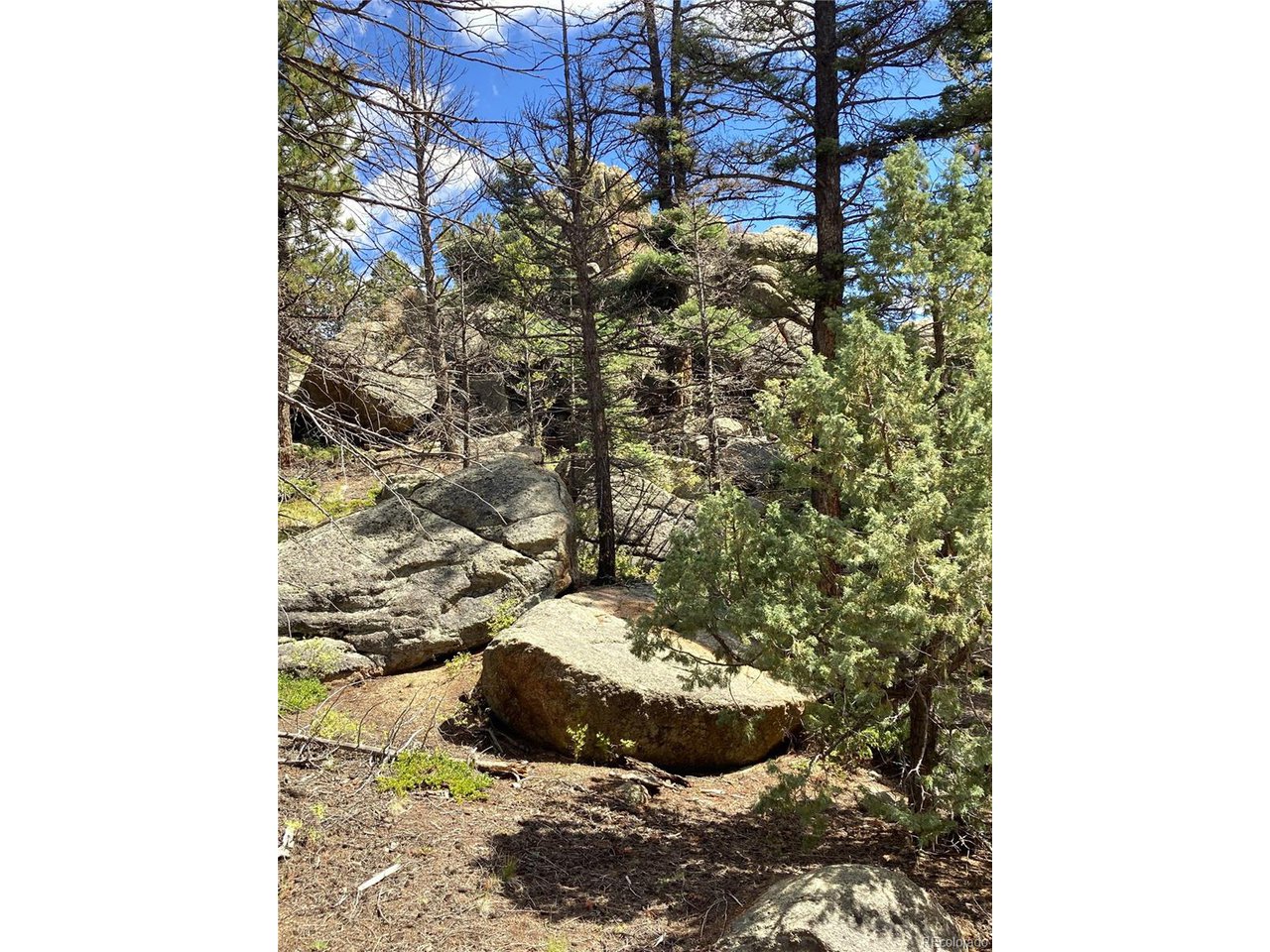 27 Copper Mtn Road Cotopaxi, CO 81223 - Photo 20 of 24 a view of a pot