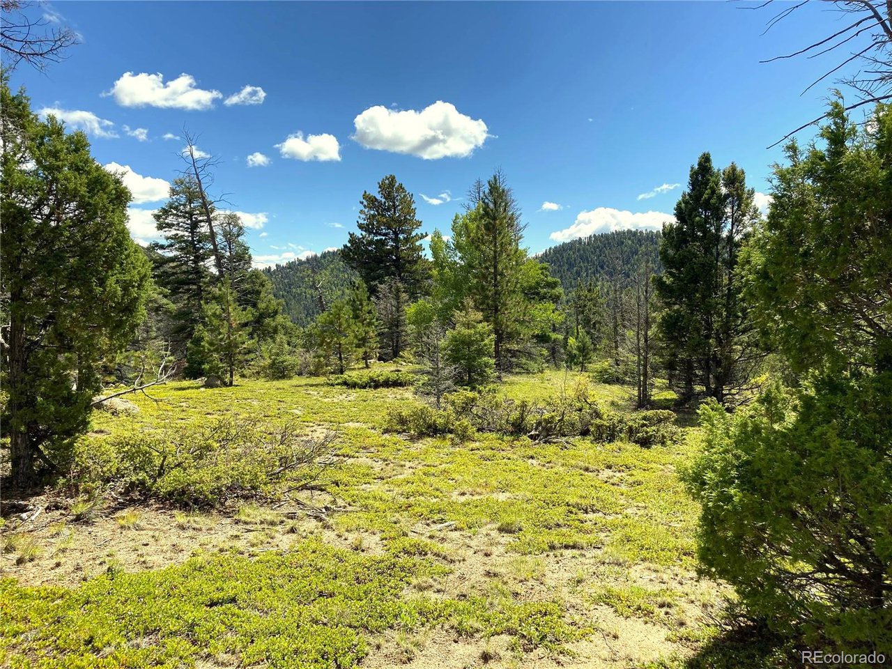 27 Copper Mtn Road Cotopaxi, CO 81223 - Photo 2 of 24 a view of a garden with an empty room