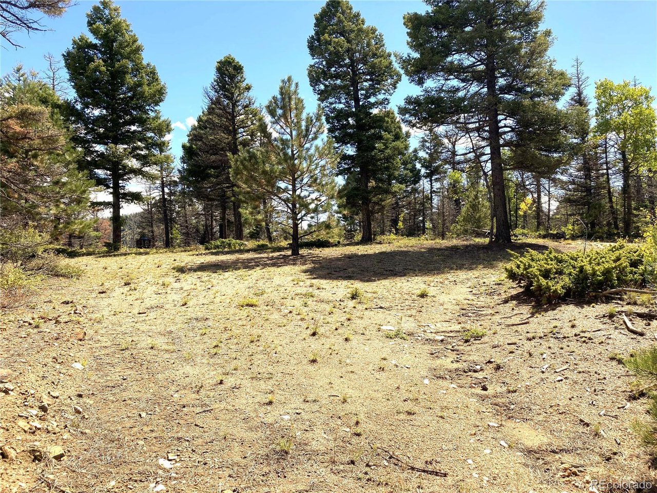 27 Copper Mtn Road Cotopaxi, CO 81223 - Photo 22 of 24 a view of a yard covered in snow