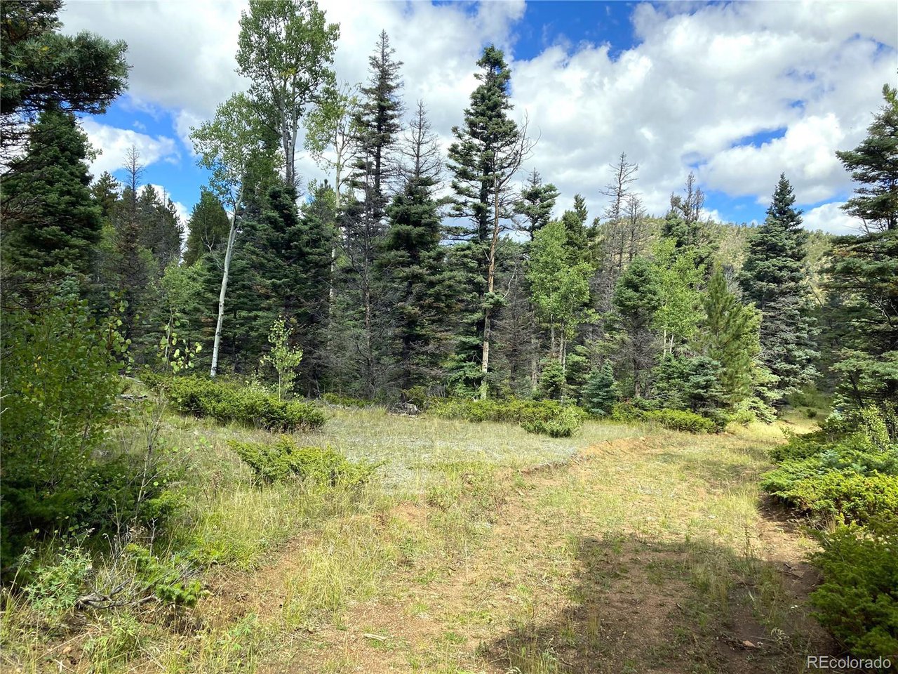 27 Copper Mtn Road Cotopaxi, CO 81223 - Photo 5 of 24 a view of a yard with plants and trees