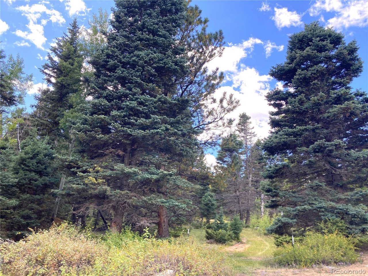 27 Copper Mtn Road Cotopaxi, CO 81223 - Photo 6 of 24 a backyard of a house