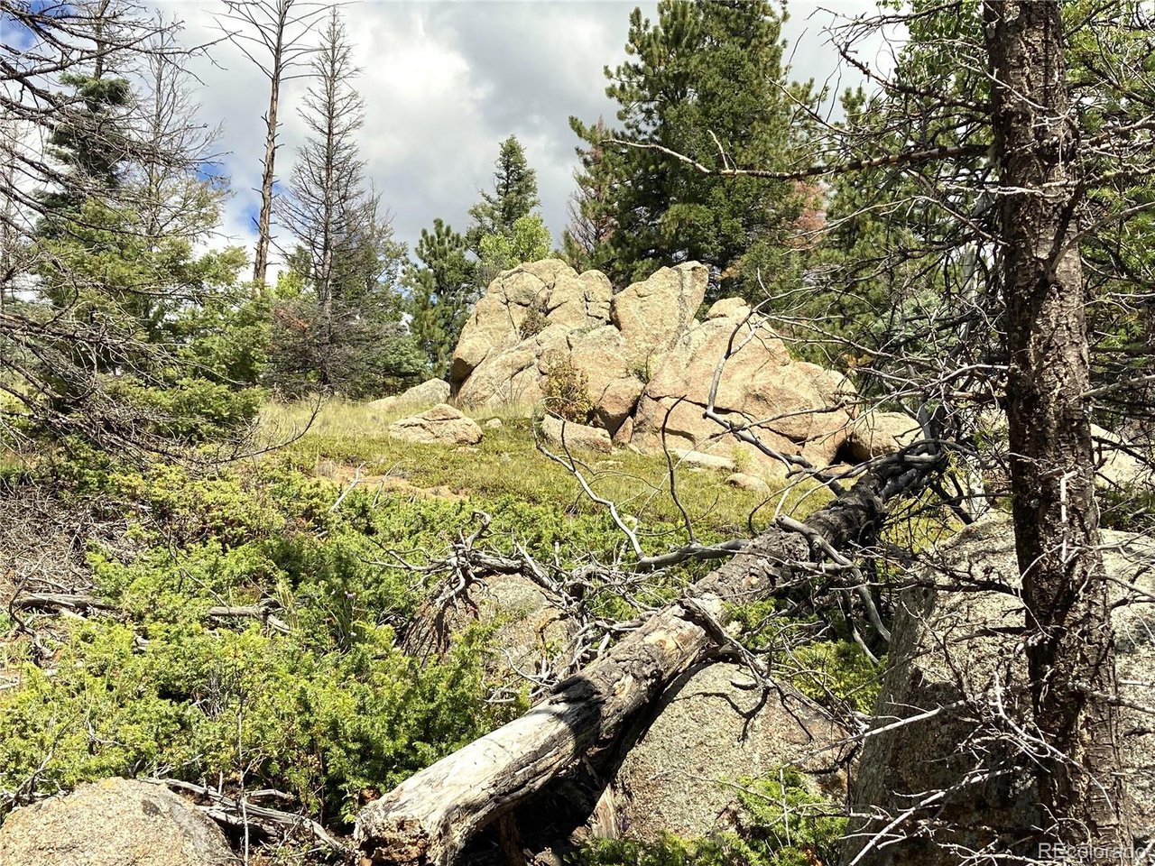 27 Copper Mtn Road Cotopaxi, CO 81223 - Photo 10 of 24 a view of a yard with plants and trees