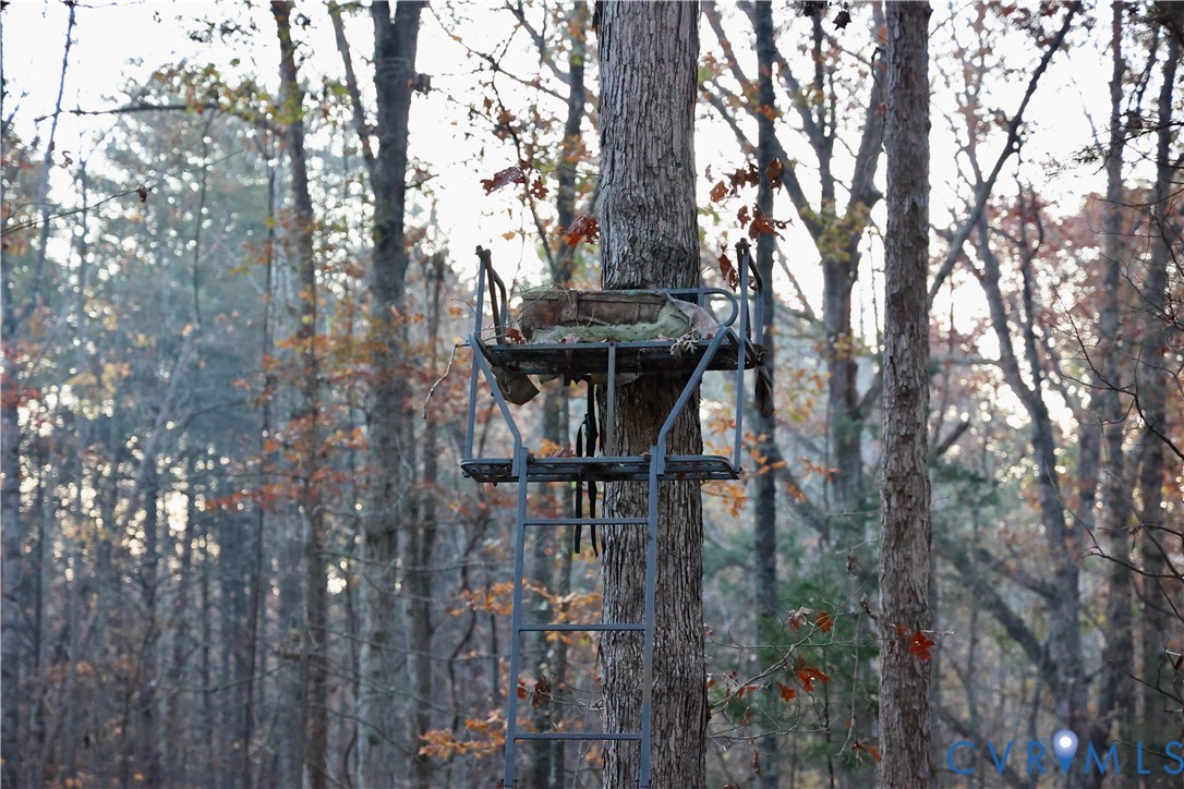 1192 West Store Road Halifax, VA 24558 - Photo 52 of 53