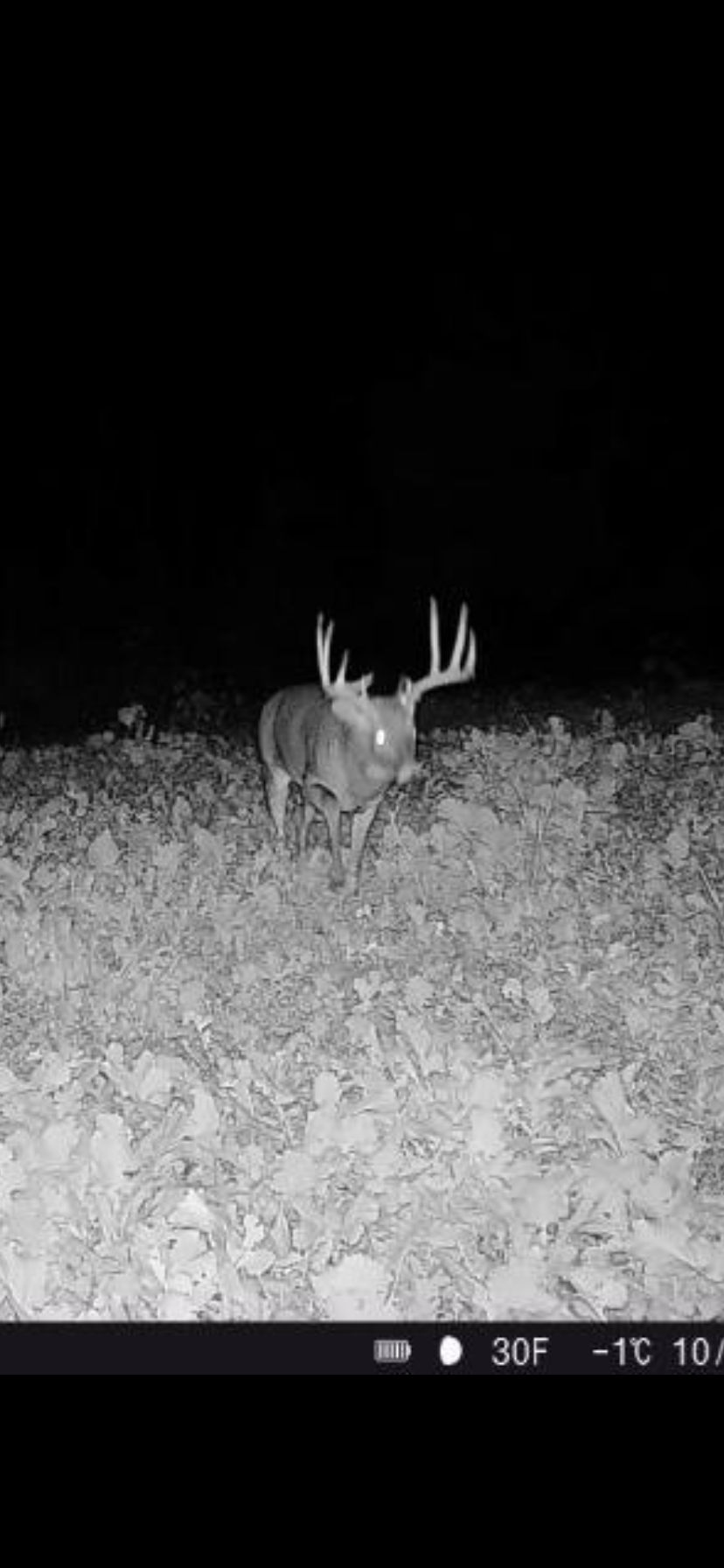 9350 75th Street Northwest Byron, MN 55920 - Photo 44 of 51