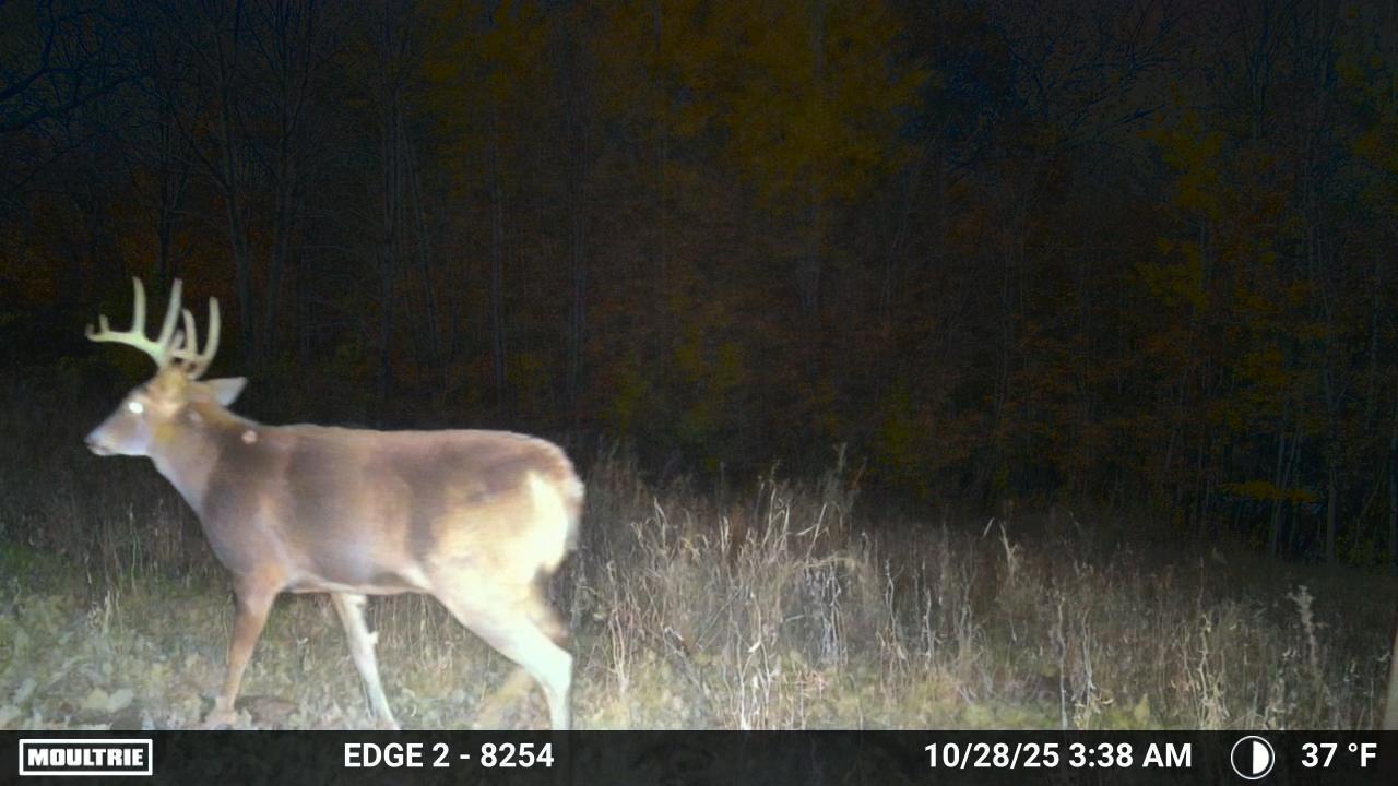 9350 75th Street Northwest Byron, MN 55920 - Photo 45 of 51