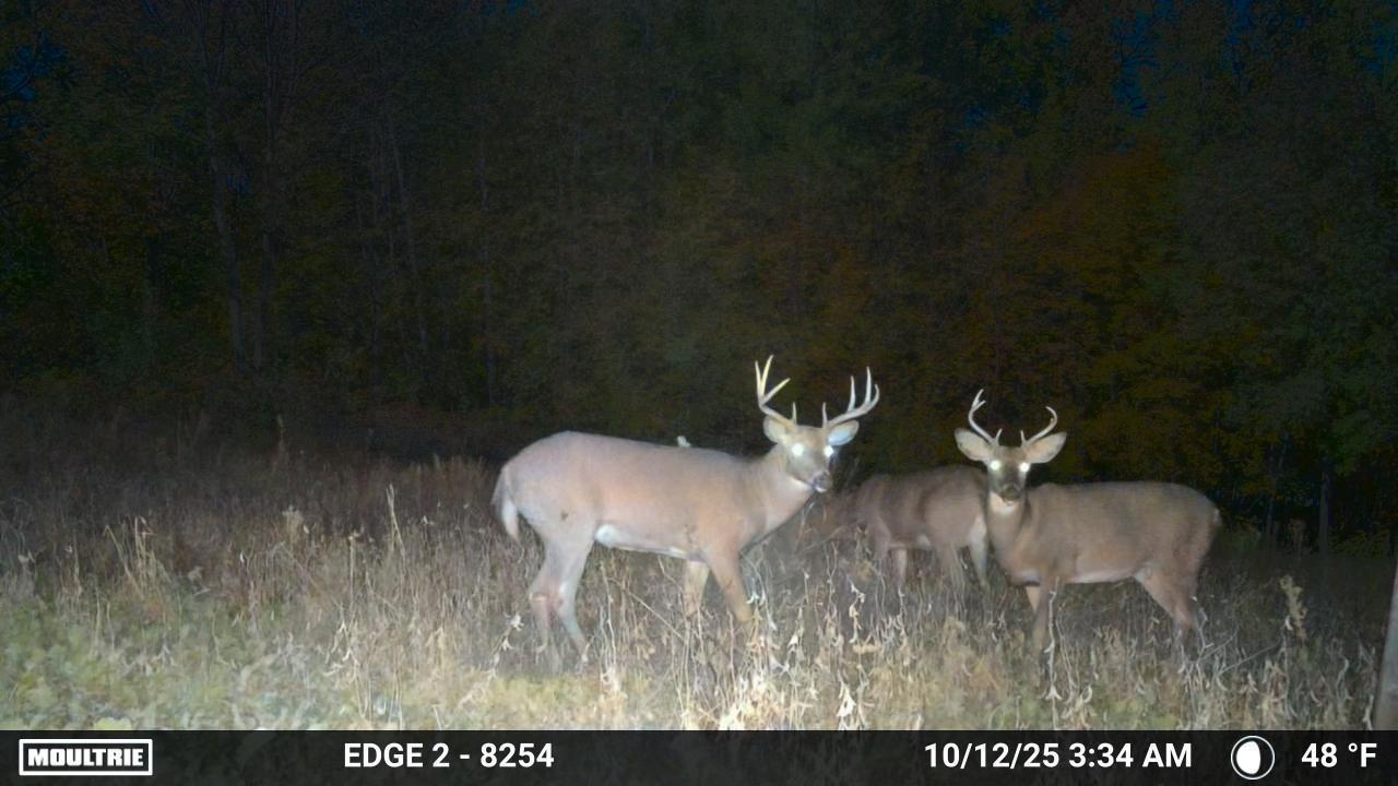 9350 75th Street Northwest Byron, MN 55920 - Photo 46 of 51