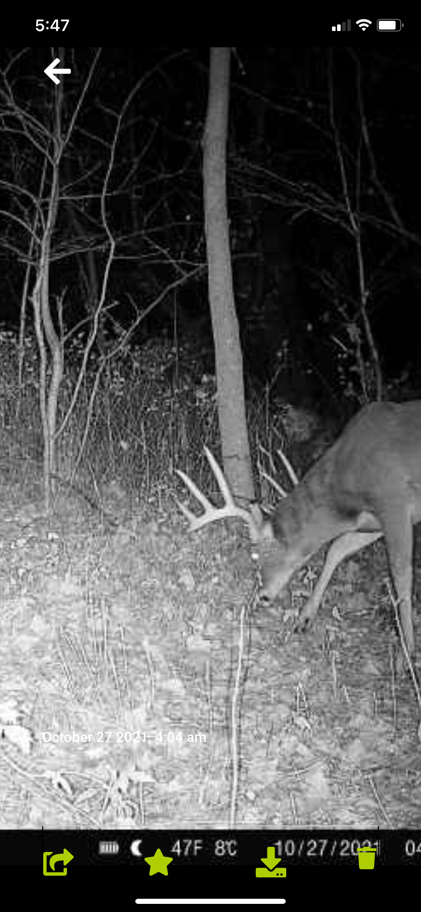 9350 75th Street Northwest Byron, MN 55920 - Photo 47 of 51