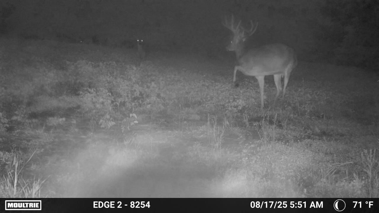 9350 75th Street Northwest Byron, MN 55920 - Photo 48 of 51