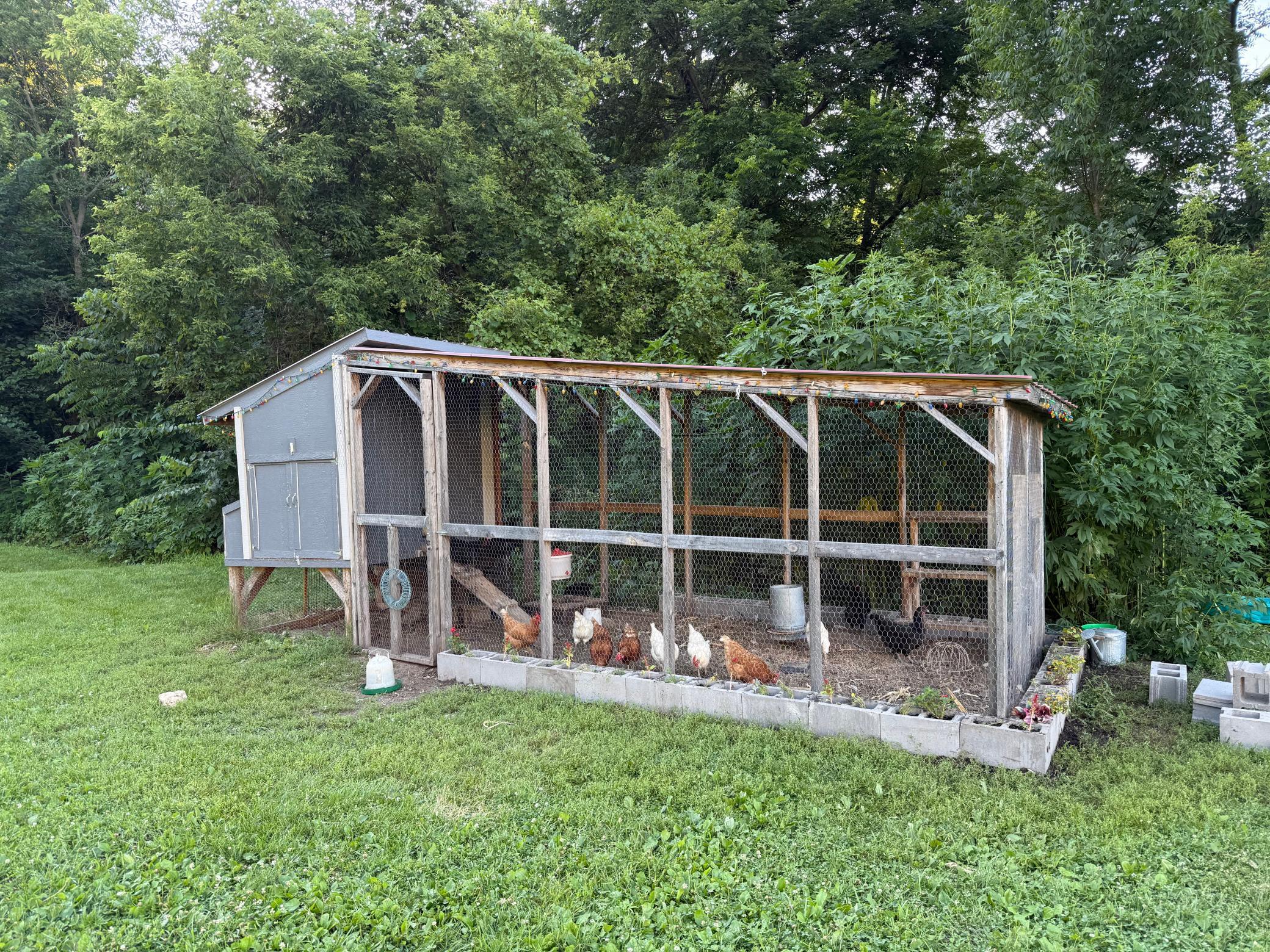 9350 75th Street Northwest Byron, MN 55920 - Photo 7 of 51