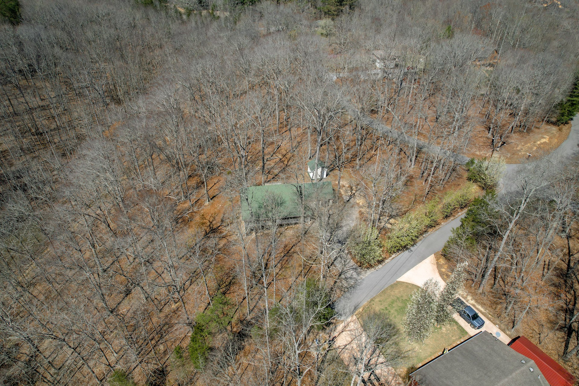 1678 4 Seasons Road Smithville, TN 37166 - Photo 11 of 43 a view of a yard with large trees