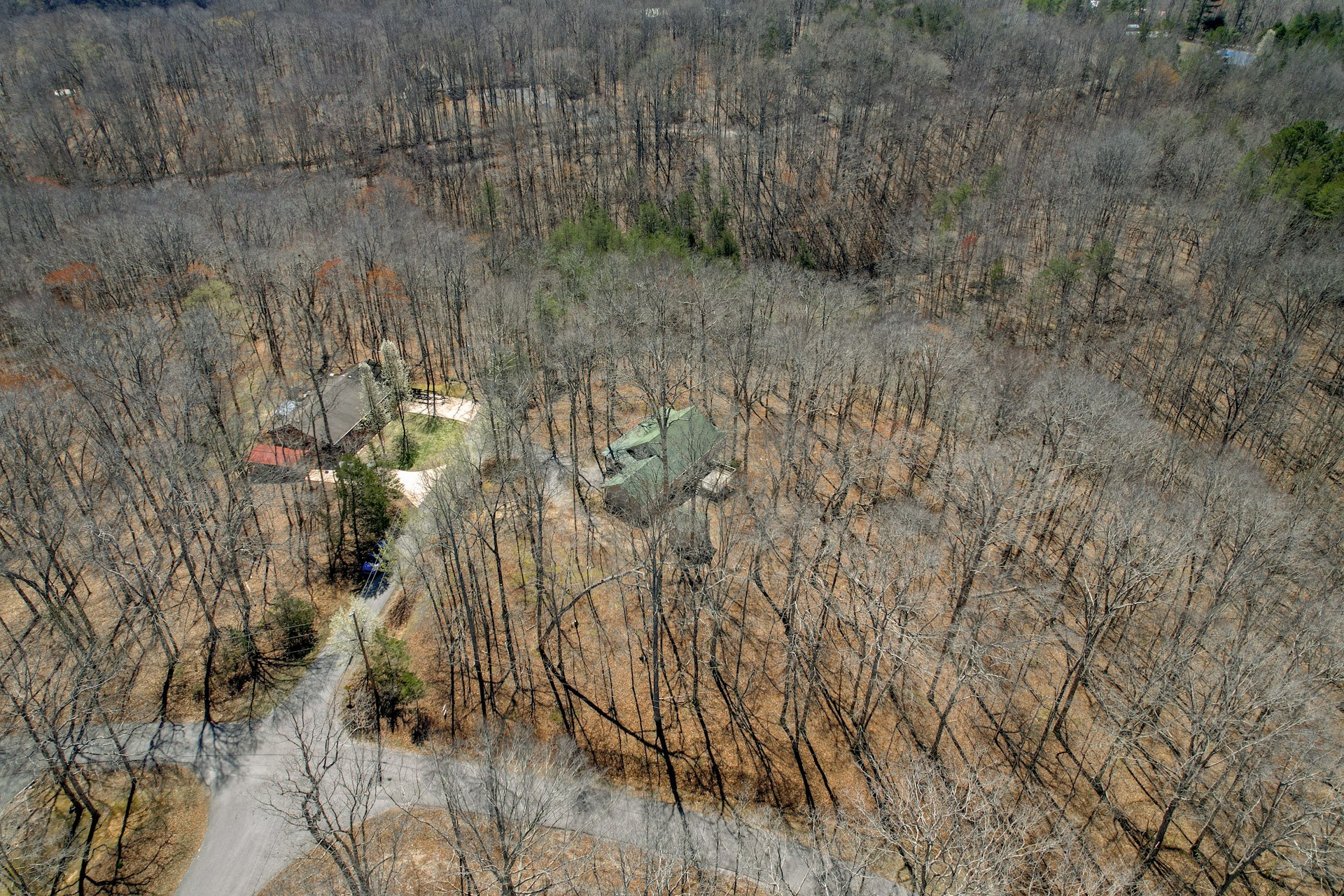 1678 4 Seasons Road Smithville, TN 37166 - Photo 12 of 43 a view of a yard