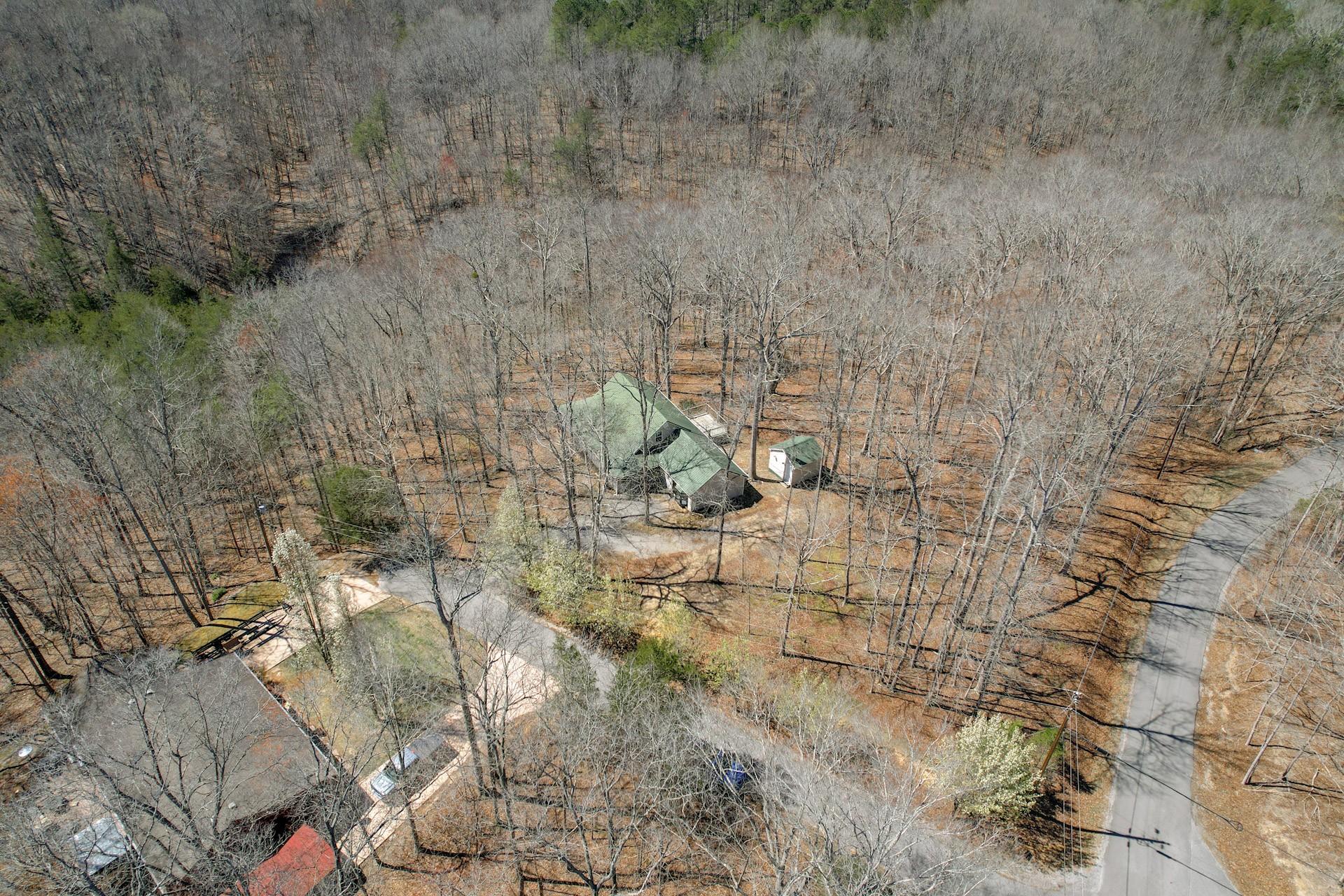 1678 4 Seasons Road Smithville, TN 37166 - Photo 13 of 43