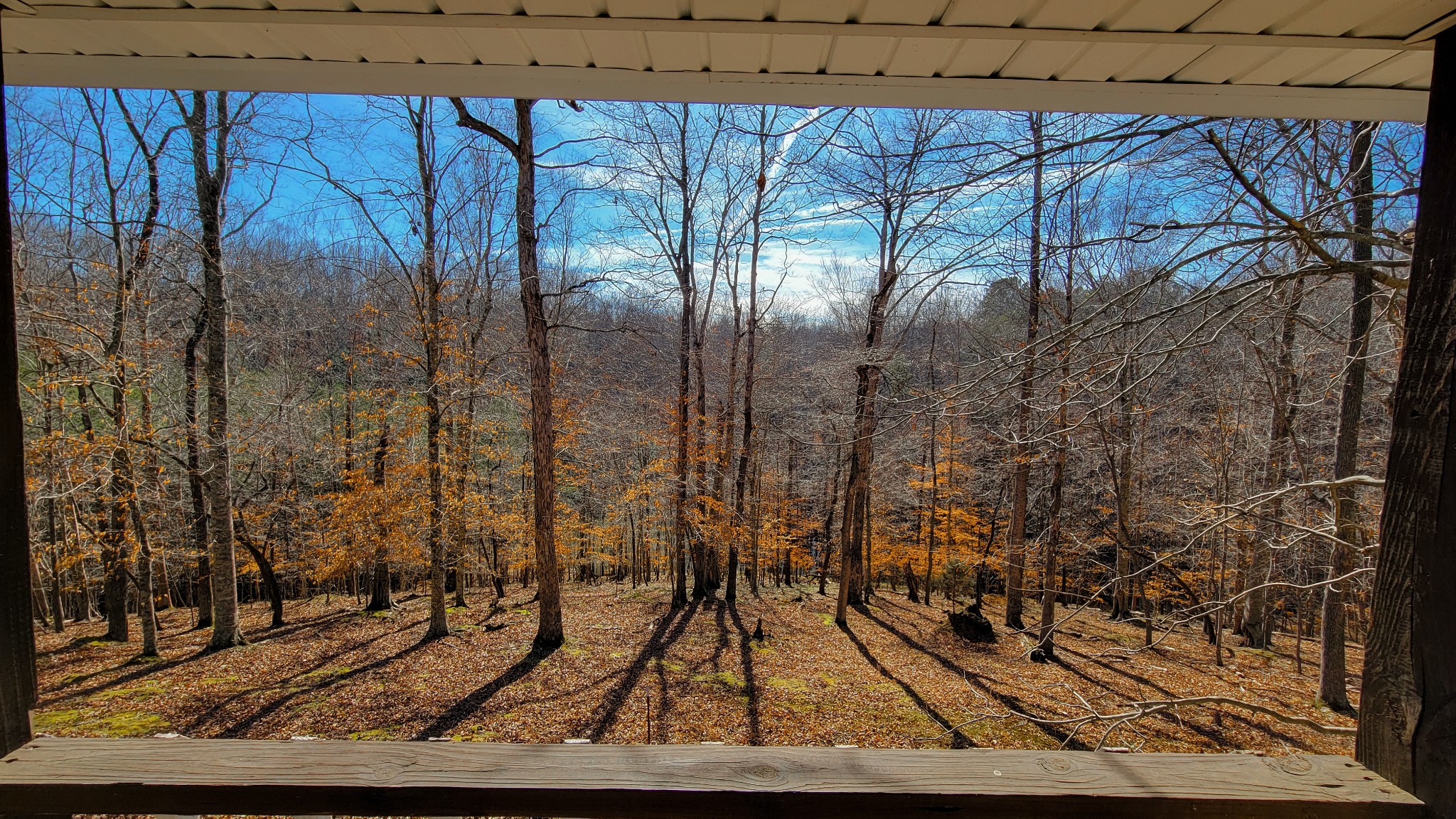 1678 4 Seasons Road Smithville, TN 37166 - Photo 23 of 43 a view of a backyard