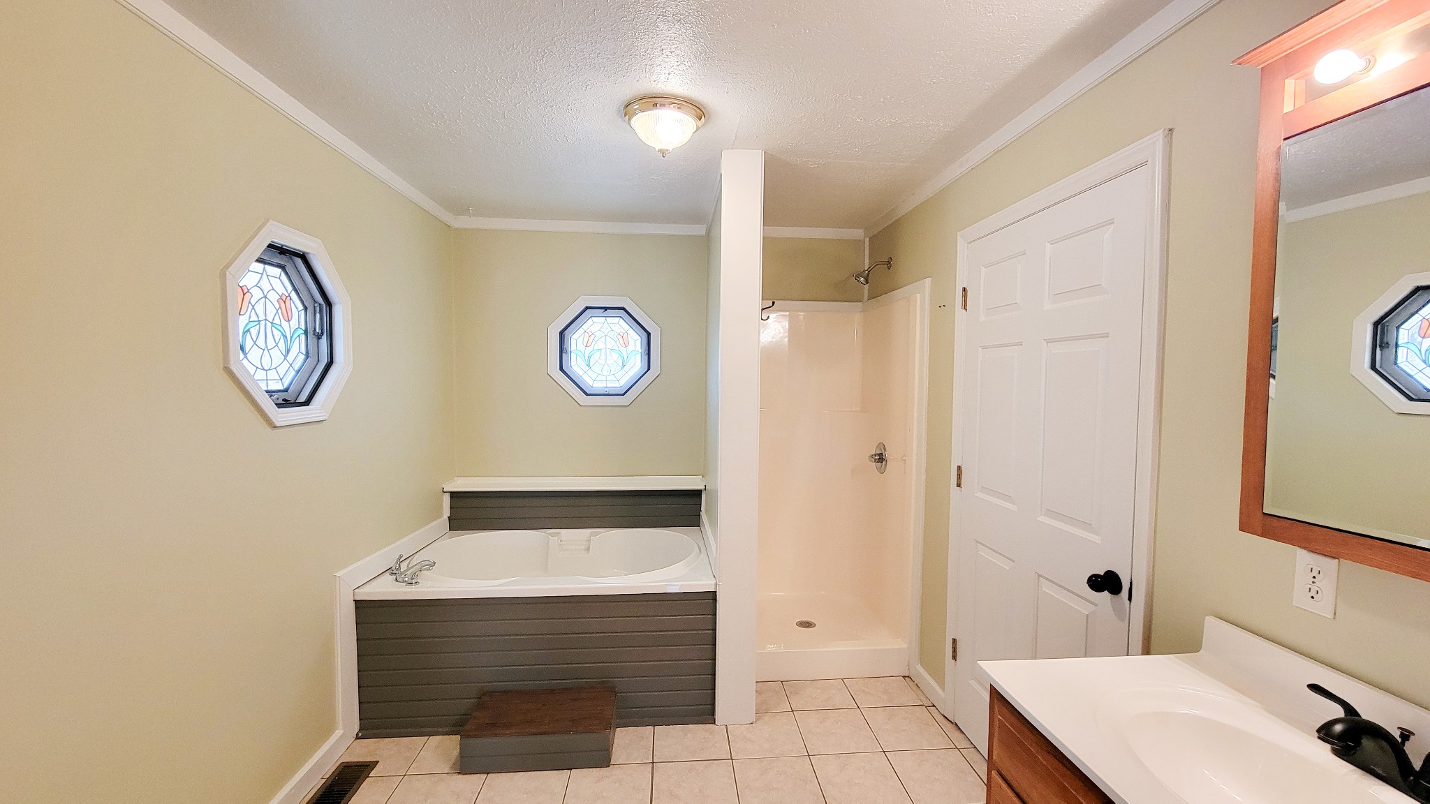 1678 4 Seasons Road Smithville, TN 37166 - Photo 32 of 43 a view of bathroom with a sink and a mirror