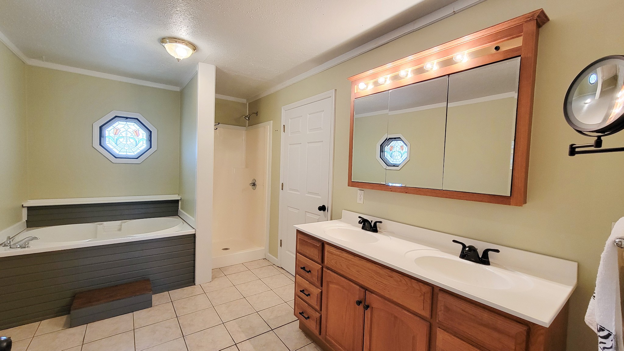 1678 4 Seasons Road Smithville, TN 37166 - Photo 33 of 43 a bathroom with a sink and a mirror