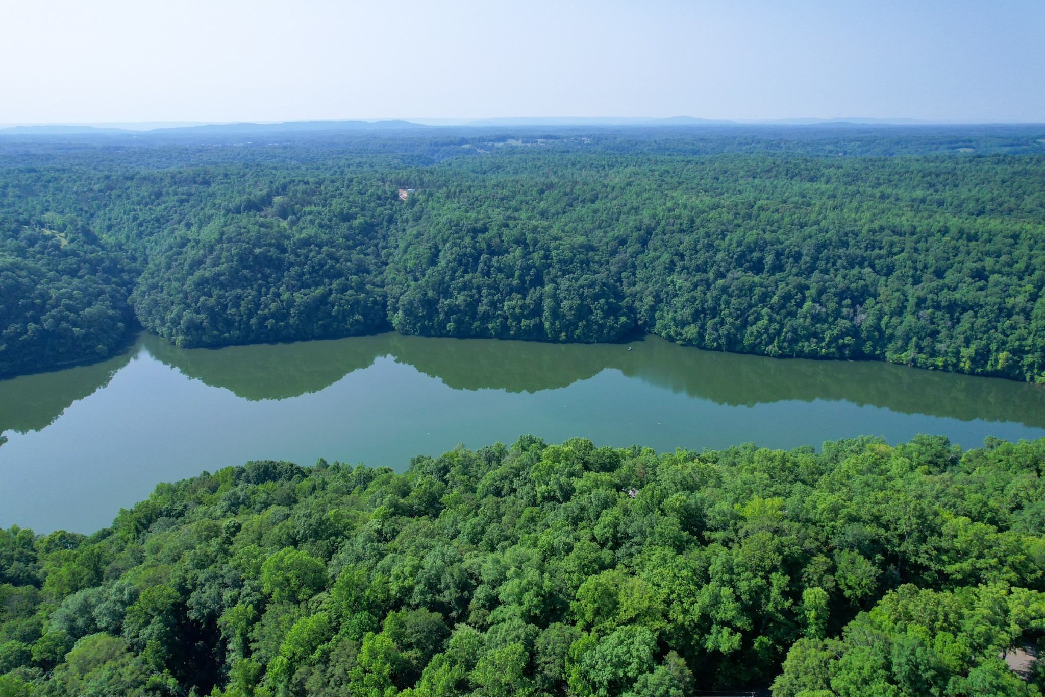 1678 4 Seasons Road Smithville, TN 37166 - Photo 43 of 43 an aerial view of a trees
