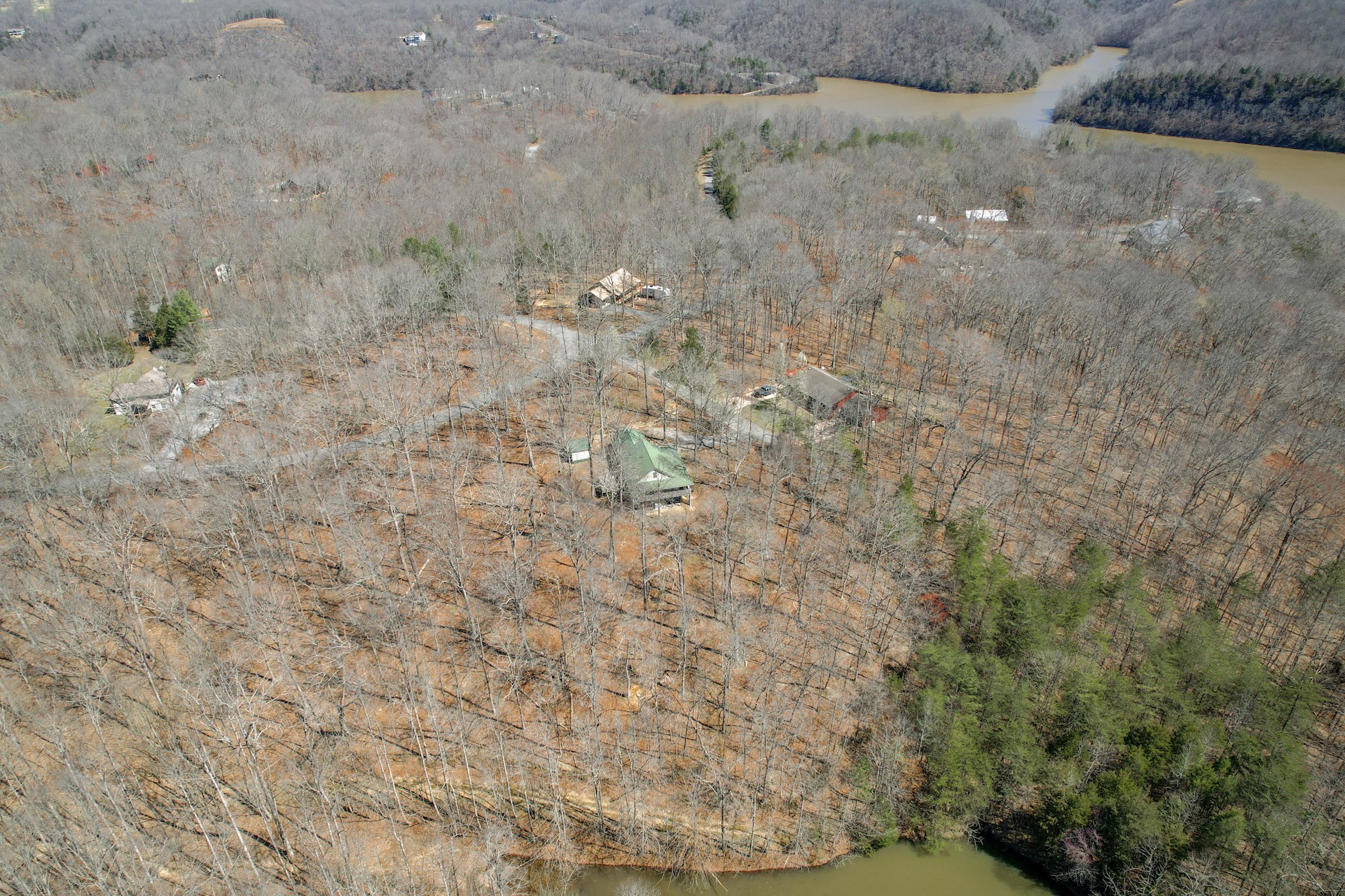 1678 4 Seasons Road Smithville, TN 37166 - Photo 7 of 43 a close up of a plant in a field