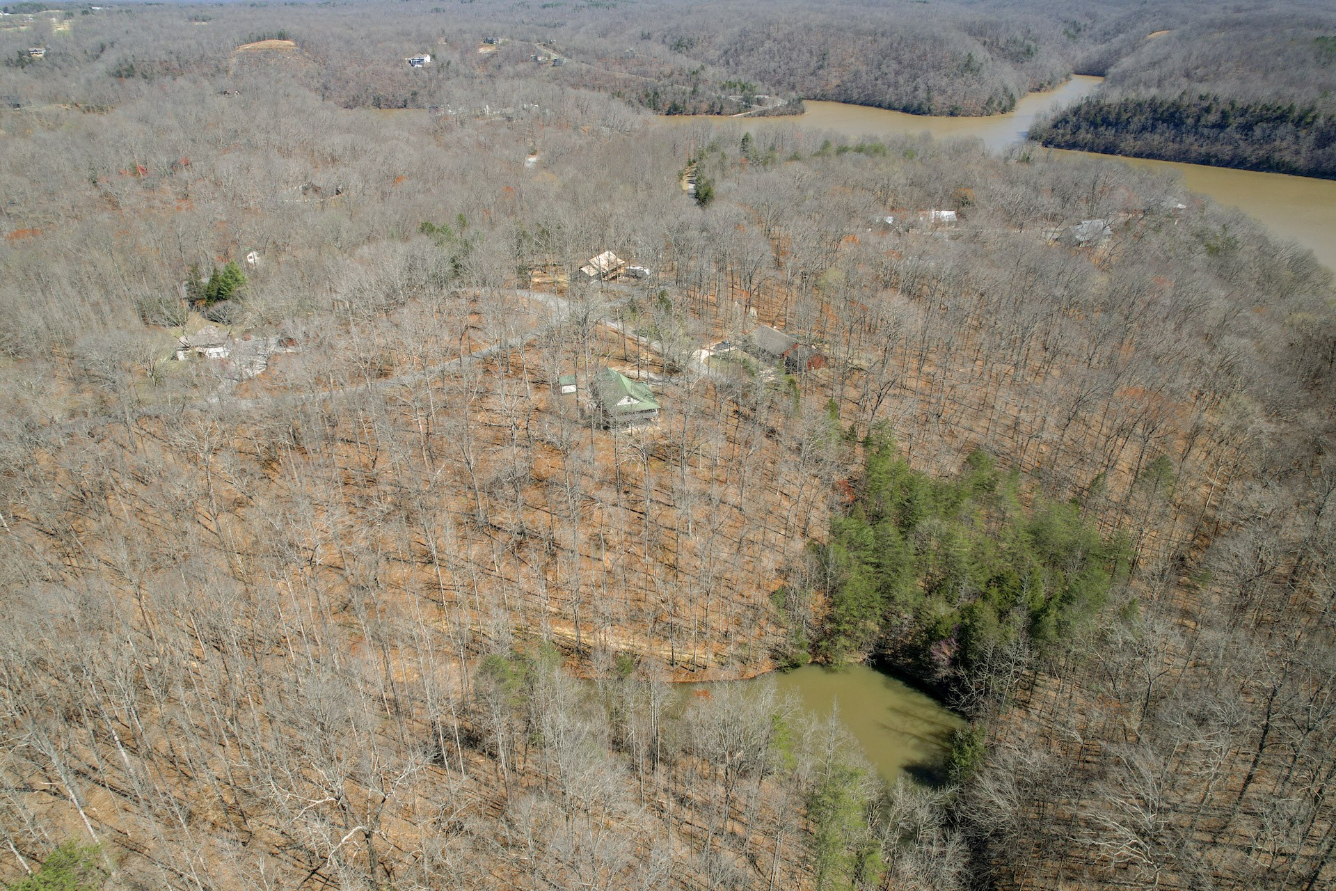 1678 4 Seasons Road Smithville, TN 37166 - Photo 10 of 43