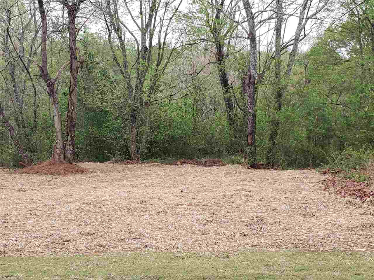 543 Ben Johnson Road Inman, SC 29349 - Photo 32 of 35