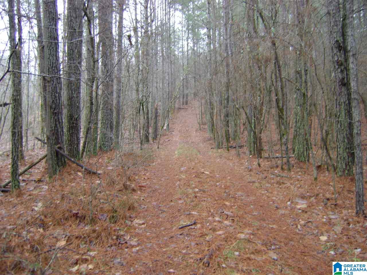 47586 Highway 25 Sterrett, AL 35147 - Photo 7 of 20