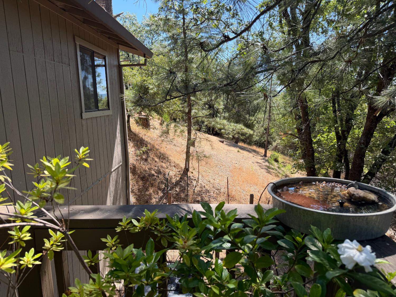 424 Catskill Drive Colfax, CA 95713 - Photo 15 of 25
