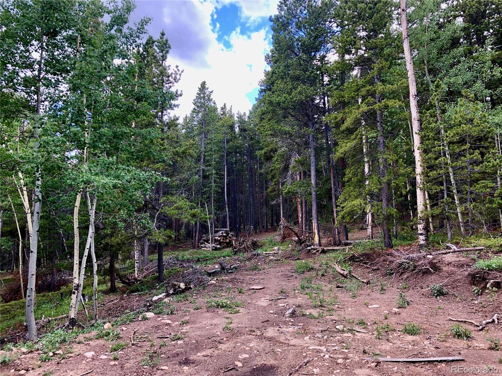 Tiber Road Black Hawk, CO 80422 - Photo 19 of 26 Gallery Image 19