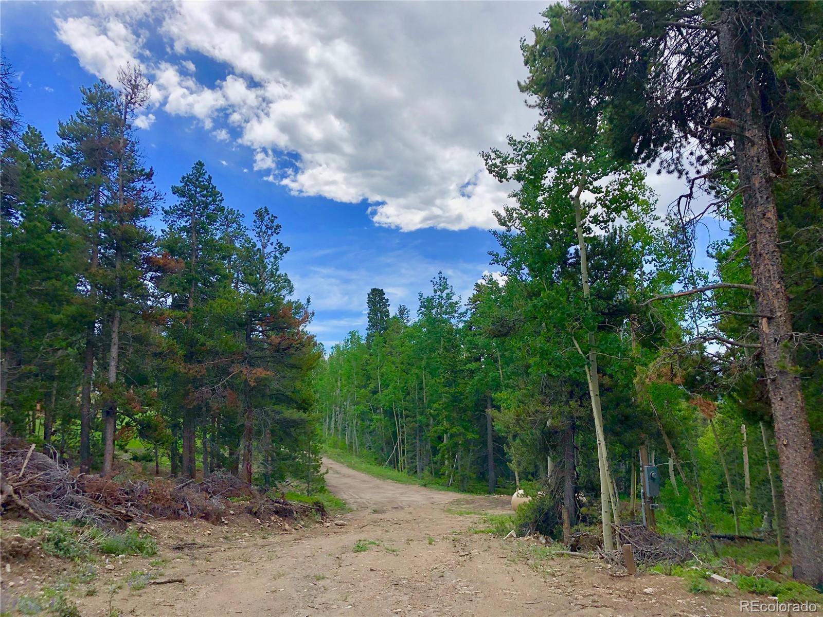 Tiber Road Black Hawk, CO 80422 - Photo 23 of 26 Gallery Image 23