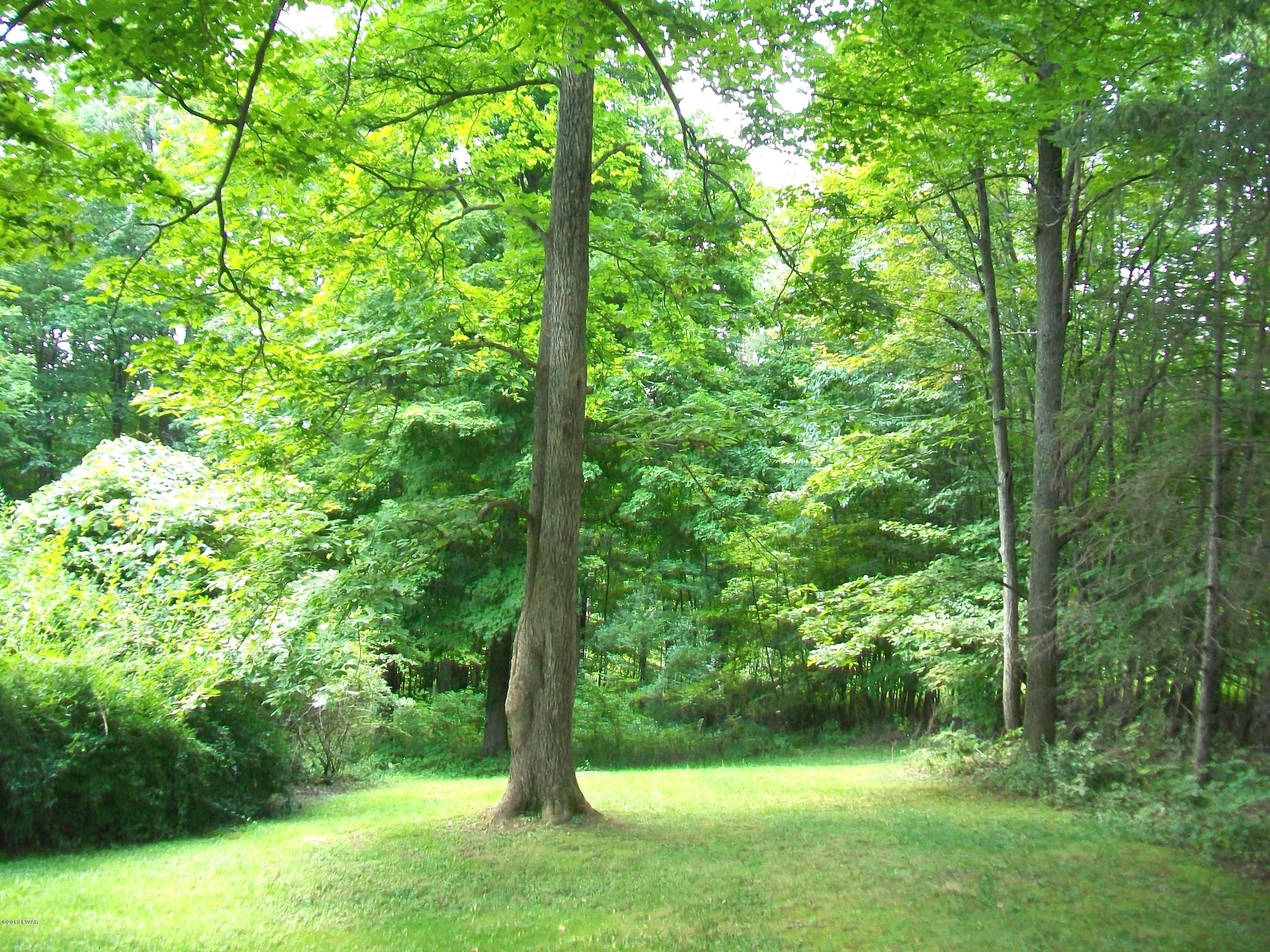 590 Creek Road Dingmans Ferry, PA 18328 - Photo 1 of 5