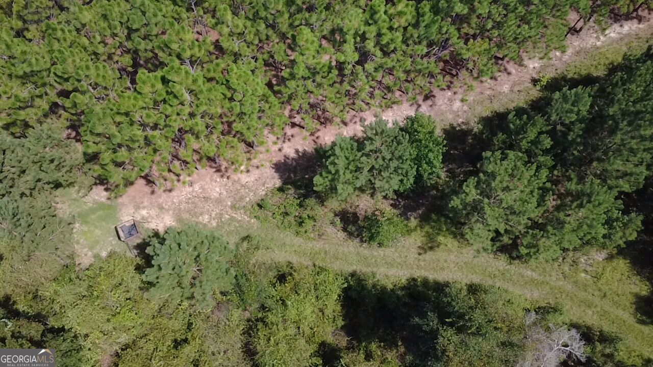 0 Barentine Road Rochelle, GA 31079 - Photo 10 of 38 Gallery Image 10
