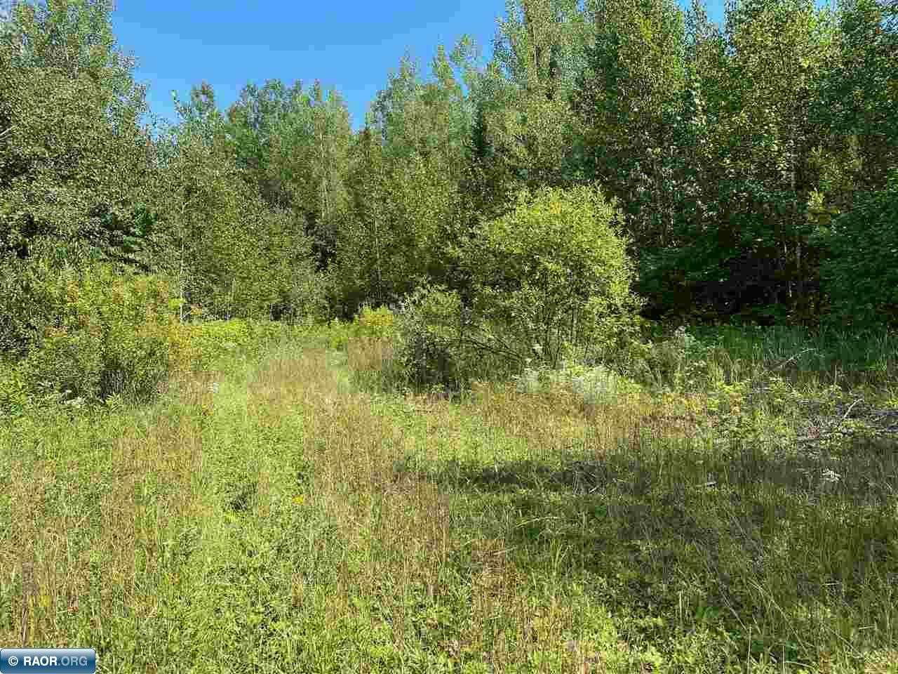Xxx Cedar Road Orr, MN 55771 - Photo 4 of 7 Gallery Image 4