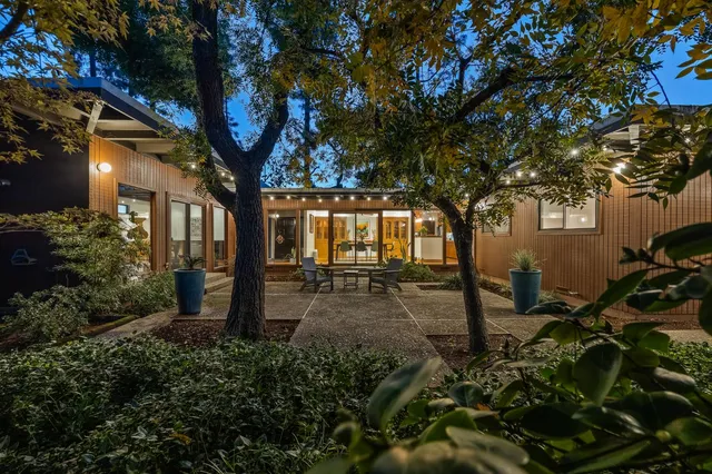 a tree in front of a house with a yard