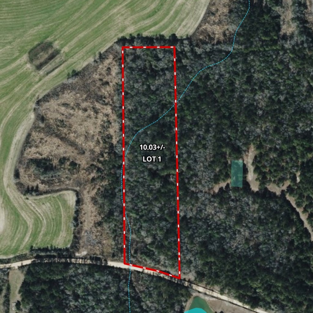 Lot #1 Crosby Clark Road Opp, AL 36467 - Photo 4 of 6