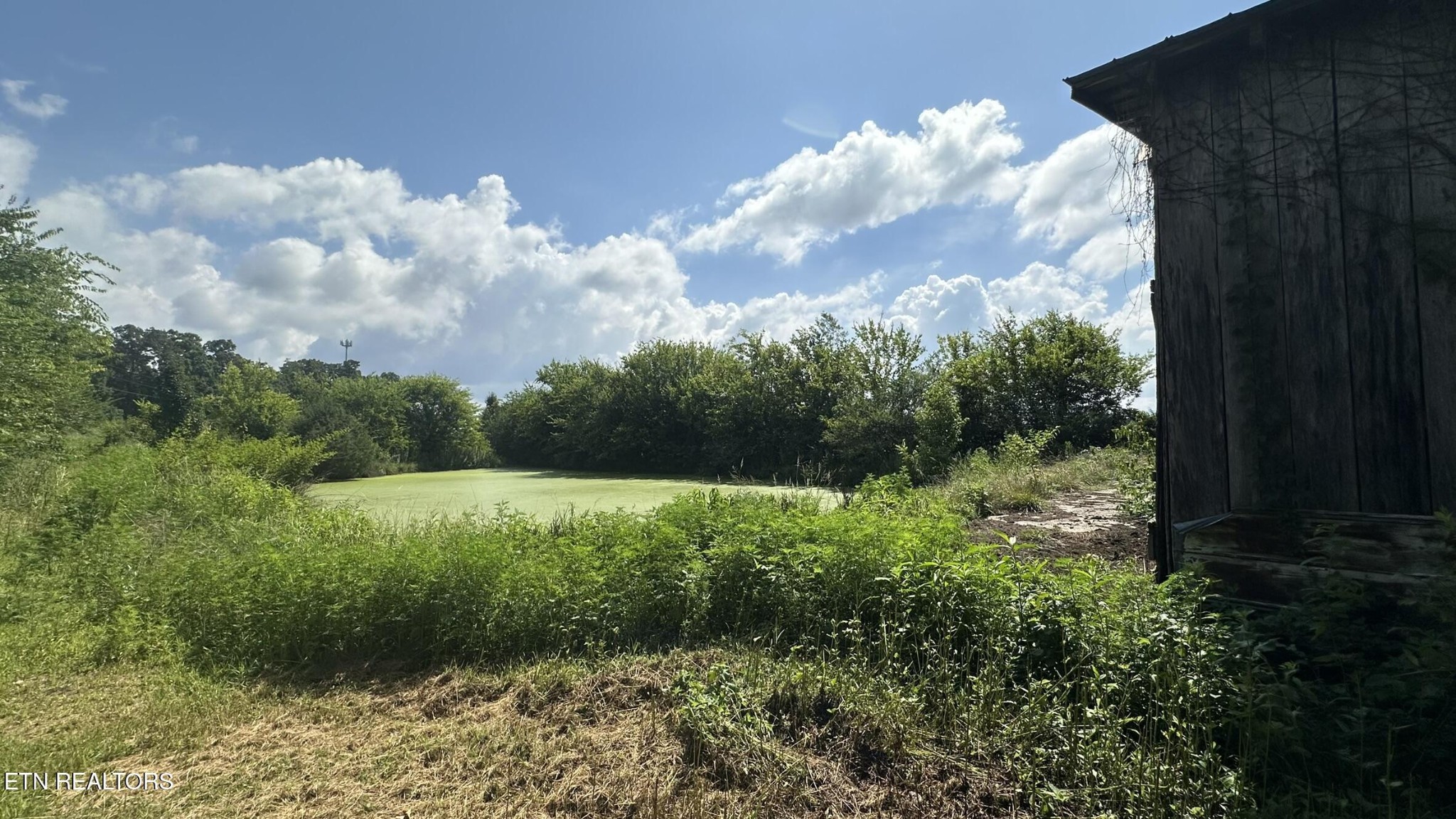 272 Keeble Road Maryville, TN 37804 - Photo 22 of 39 Gallery Image 22