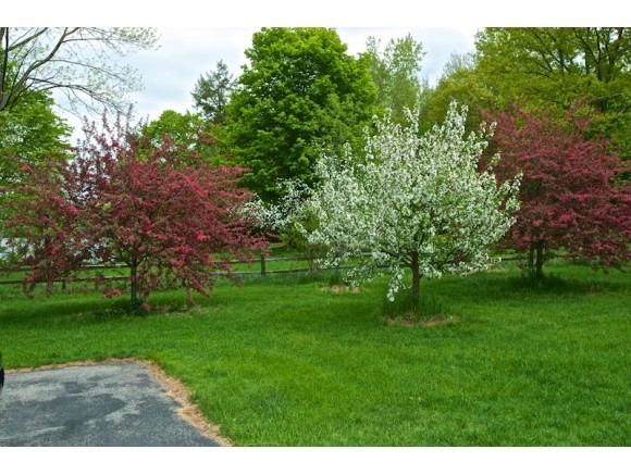 201 Cooper Road Milton, VT 05468 - Photo 15 of 28 Gallery Image 15