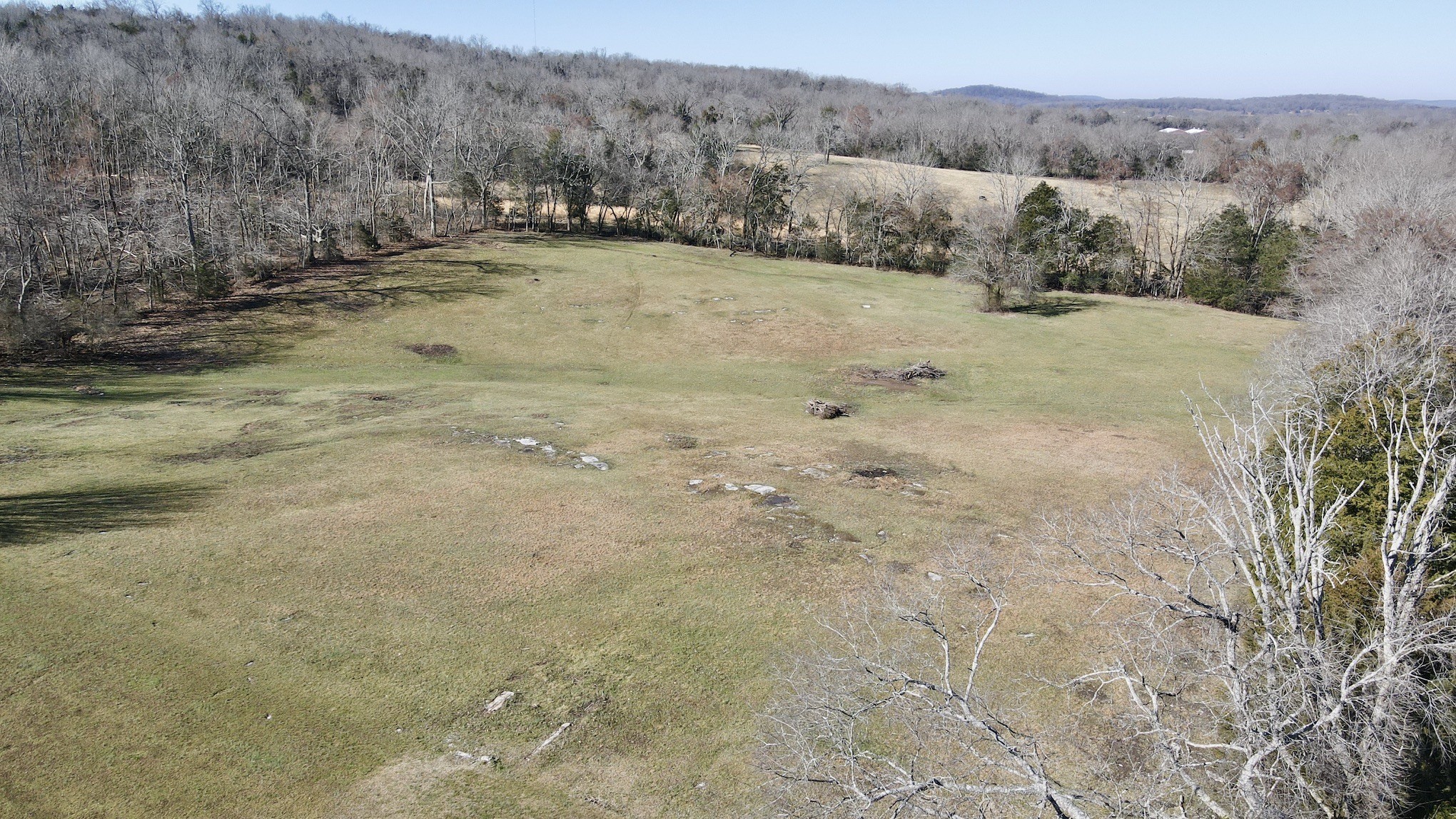 506 New Center Church Road Shelbyville, TN 37160 - Photo 5 of 44 a view of a dry yard with mountain view